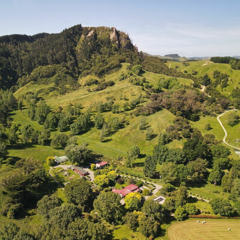 Tinui Taipos